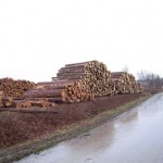 Holzstapel