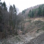 Waldautobahn