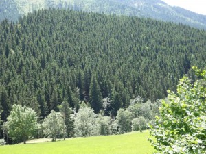 Steiermark - Mariazell