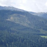 Waldschlägerungen